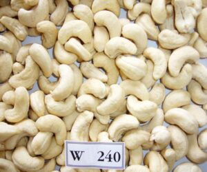 Cashew nut W240 2