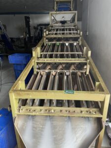 Cashew Nut Export