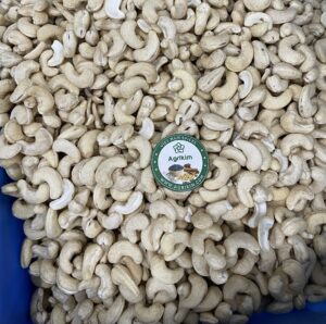 Raw Cashew Nuts Export