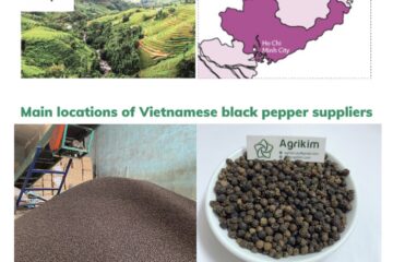 Vietnamese Black Pepper Suppliers