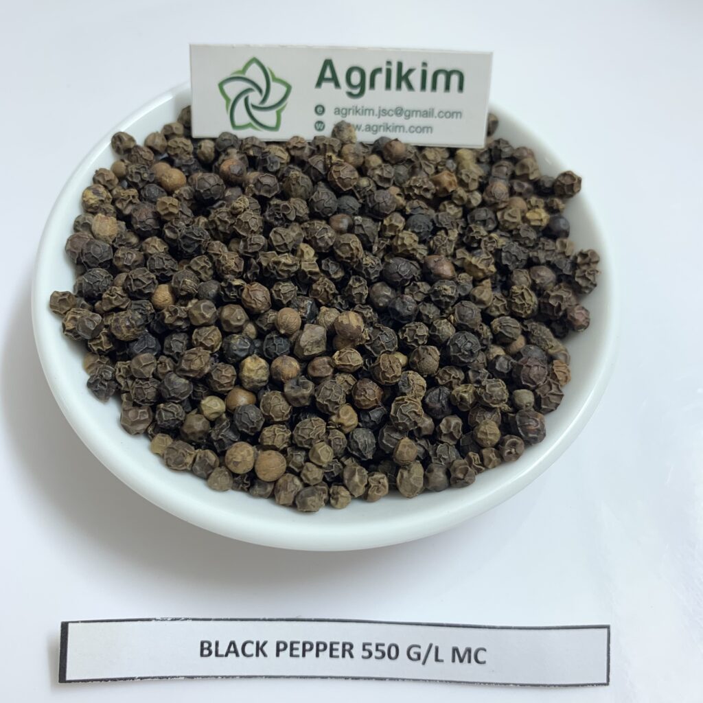 Vietnam black pepper exporter