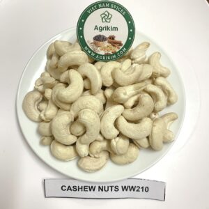 largest cashew nuts producer
